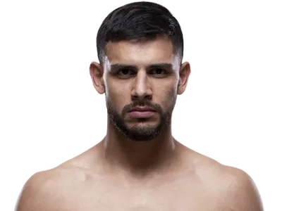 fighter