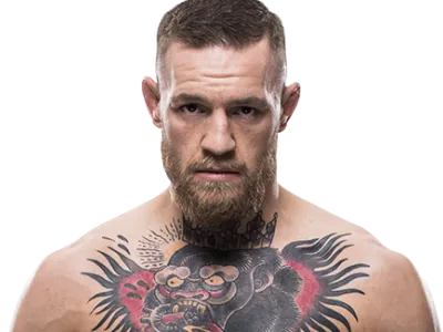 fighter