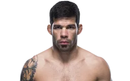 fighter